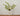 Jarron grande ceramica italiana