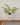 Jarron grande ceramica italiana